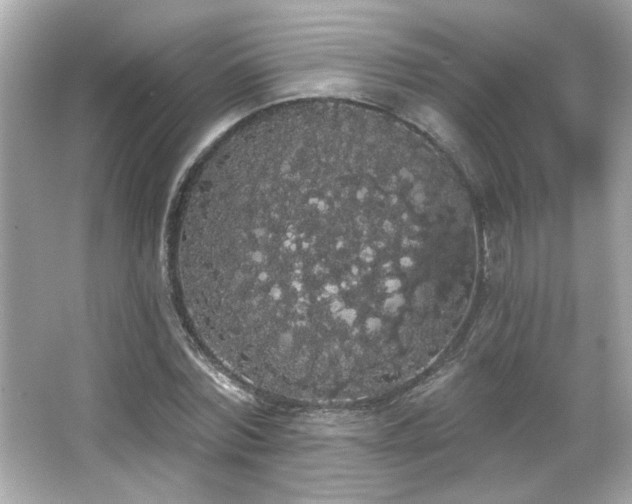 X0000066090780200603101205