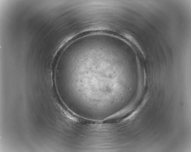 X0000066090781200603101205