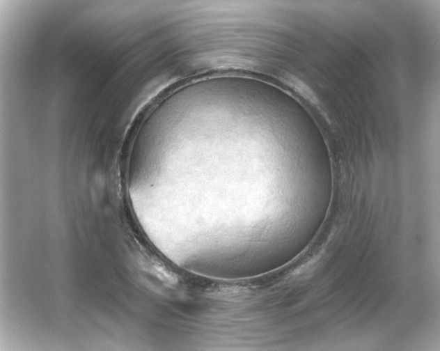 X0000066090782200603101205