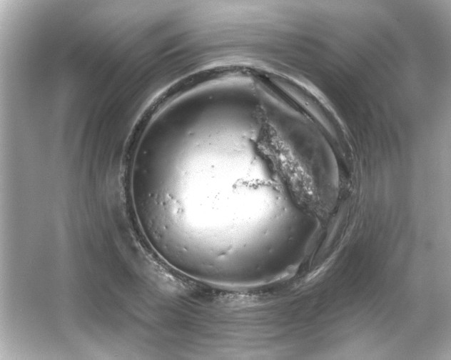 X0000066090783200603101205