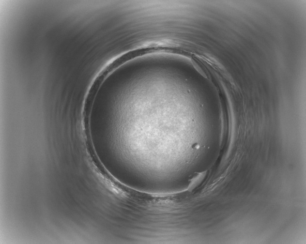 X0000066090784200603101205