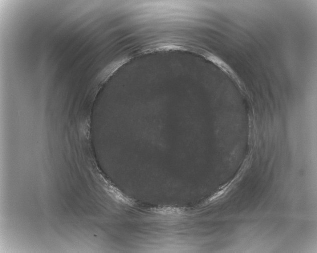 X0000066090785200603101205