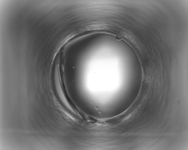 X0000066090786200603101205