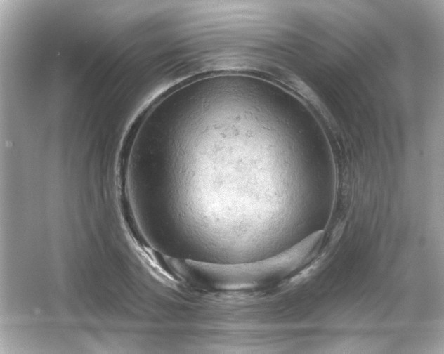 X0000066090787200603101205