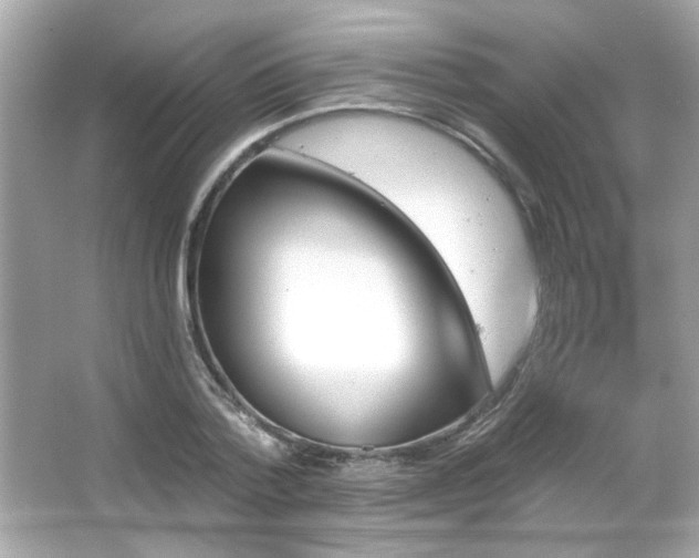 X0000066090788200603101205