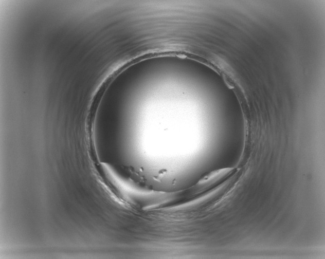 X0000066090789200603101205