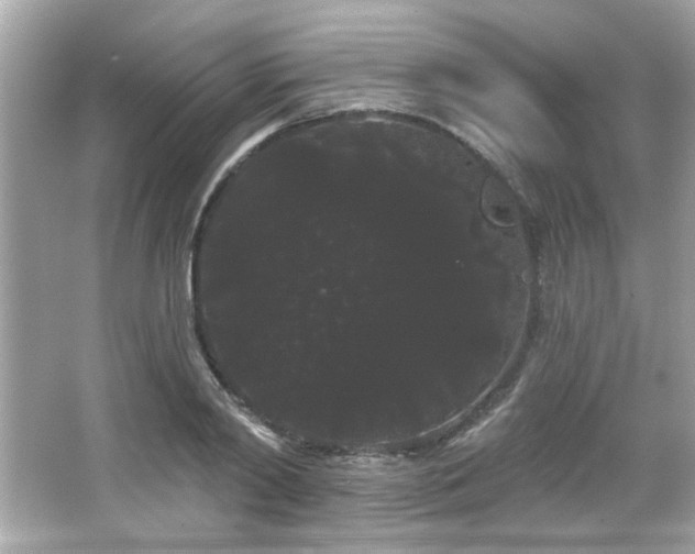 X0000066090790200603101205