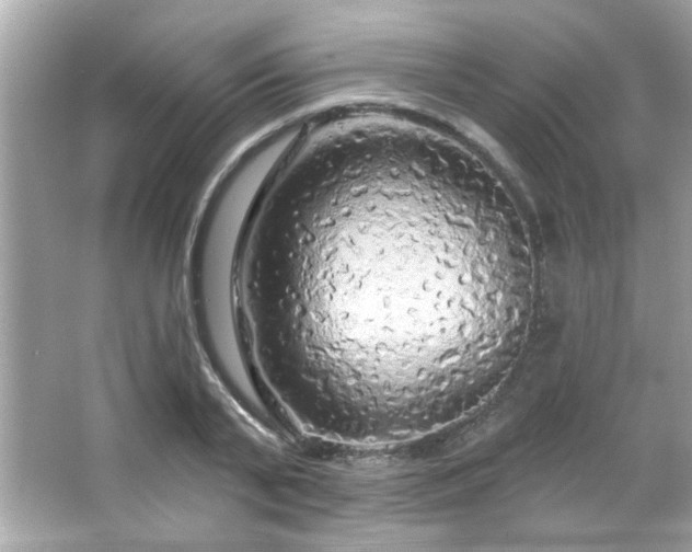 X0000066090791200603101205