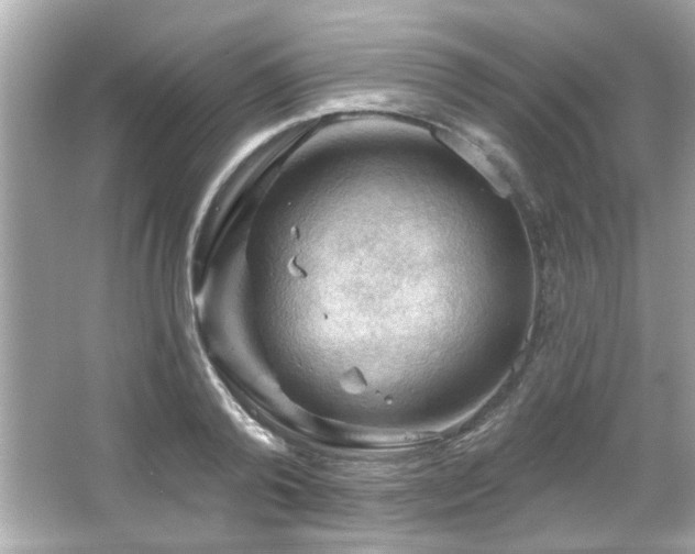 X0000066090792200603101205