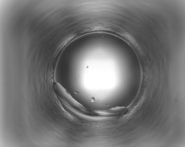 X0000066090793200603101205