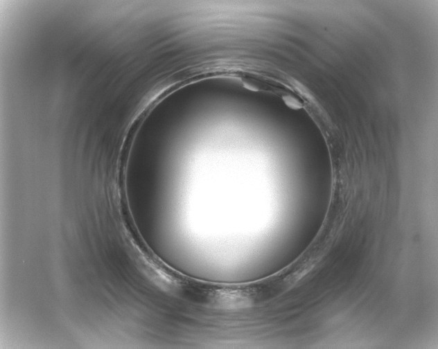 X0000066090794200603101205