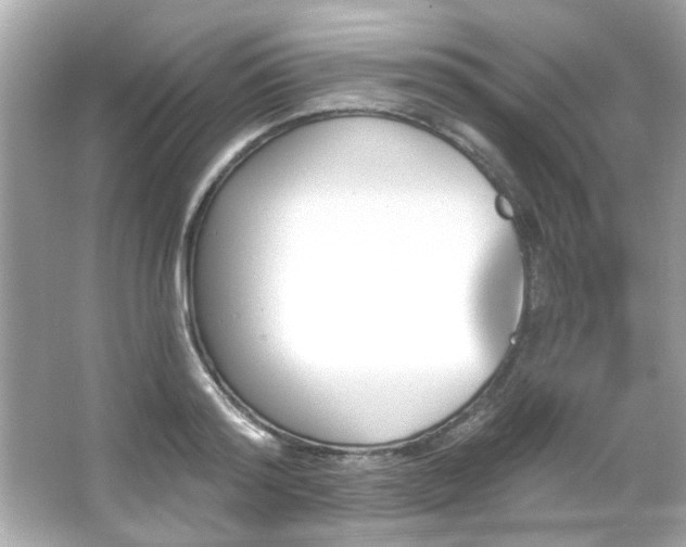 X0000066090796200603101205