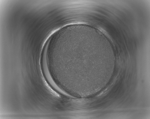 X0000066090797200603101205