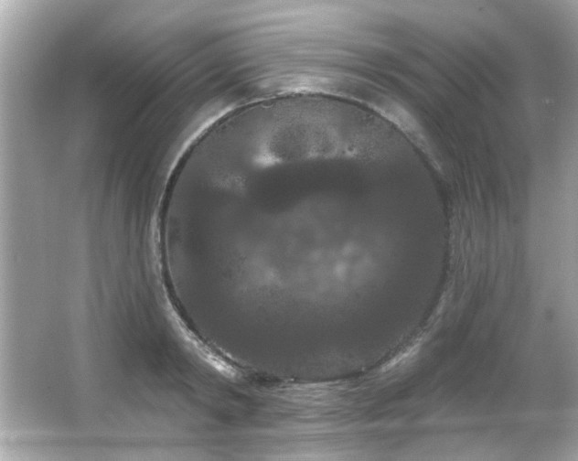 X0000066090798200603101205