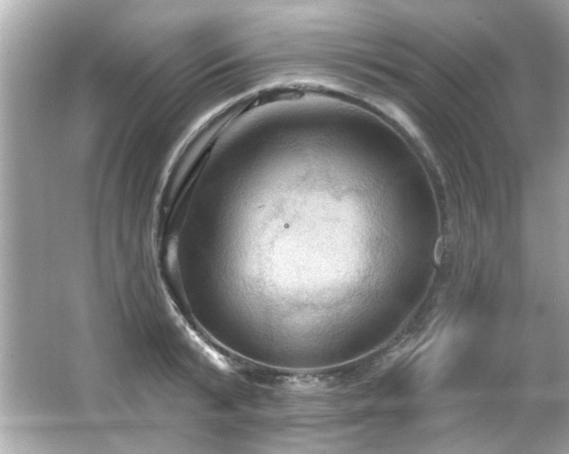 X0000066090799200603101205