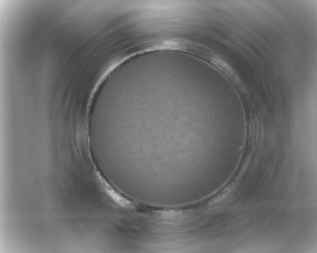 X0000066090800200603101204