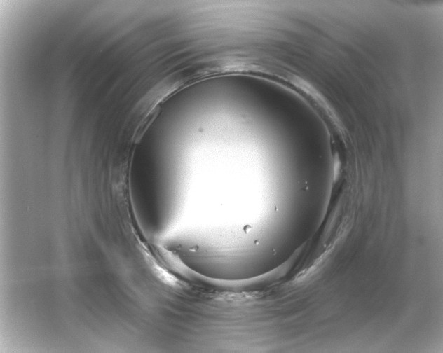 X0000066090801200603101204