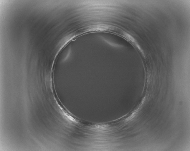 X0000066090802200603101204