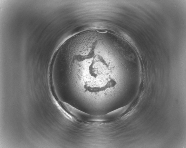 X0000066090803200603101204