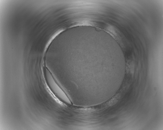 X0000066090804200603101204