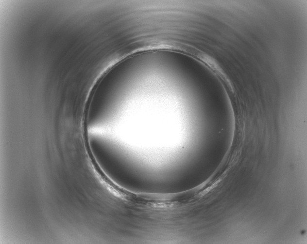 X0000066090805200603101204