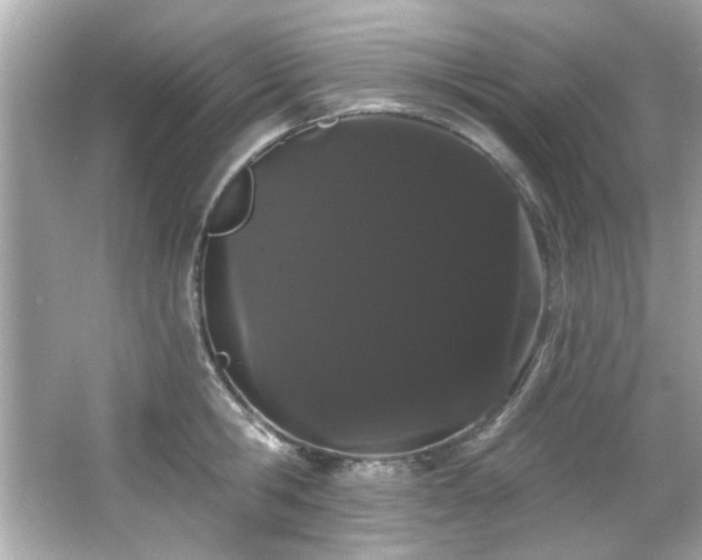 X0000066090806200603101204