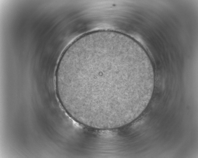 X0000066090807200603101204