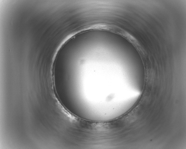 X0000066090808200603101204