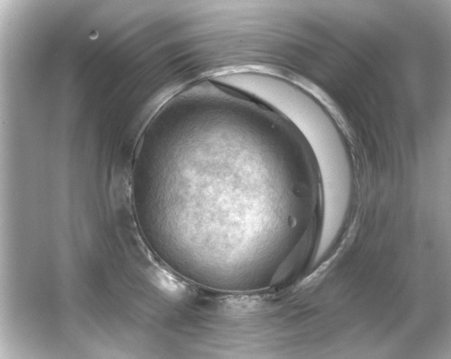 X0000066090809200603101204