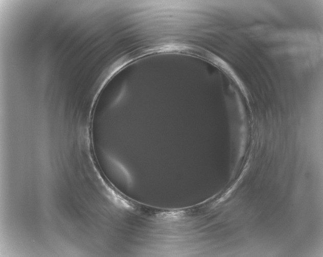 X0000066090810200603101204