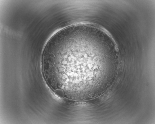 X0000066090811200603101204