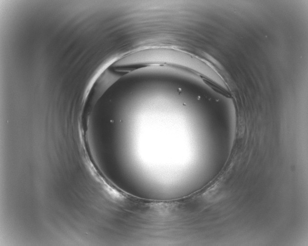 X0000066090812200603101204