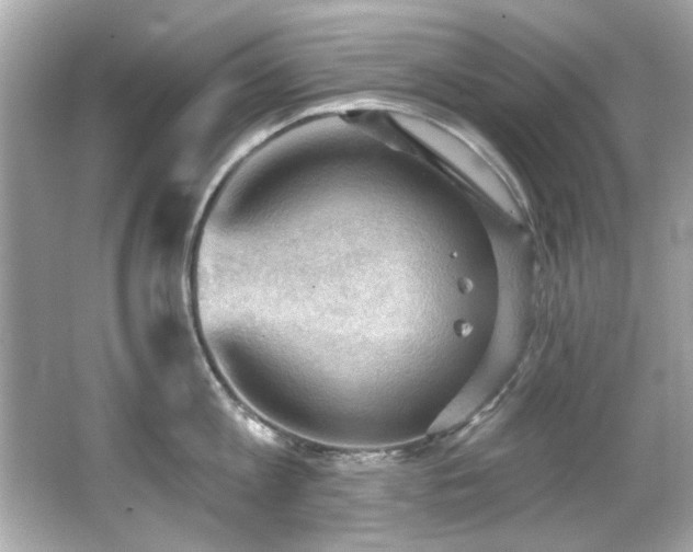 X0000066090813200603101204