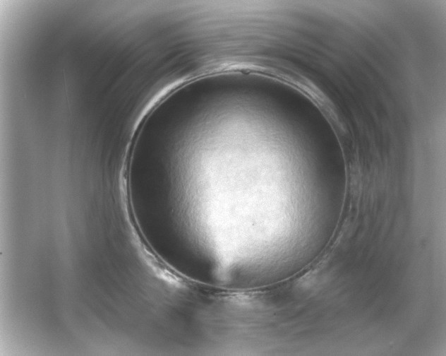 X0000066090814200603101204