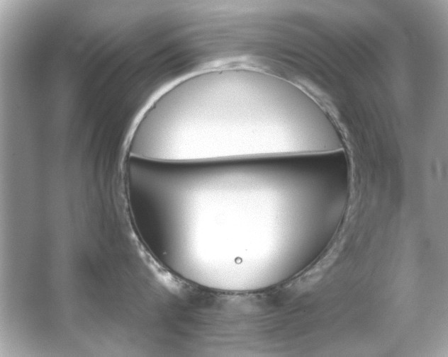 X0000066090816200603101204