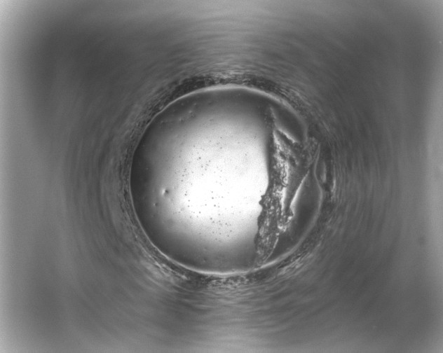 X0000066090817200603101203