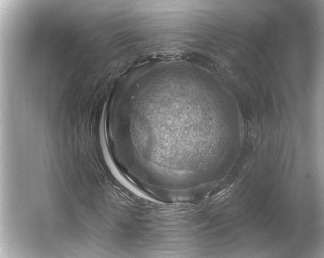 X0000066090818200603101203