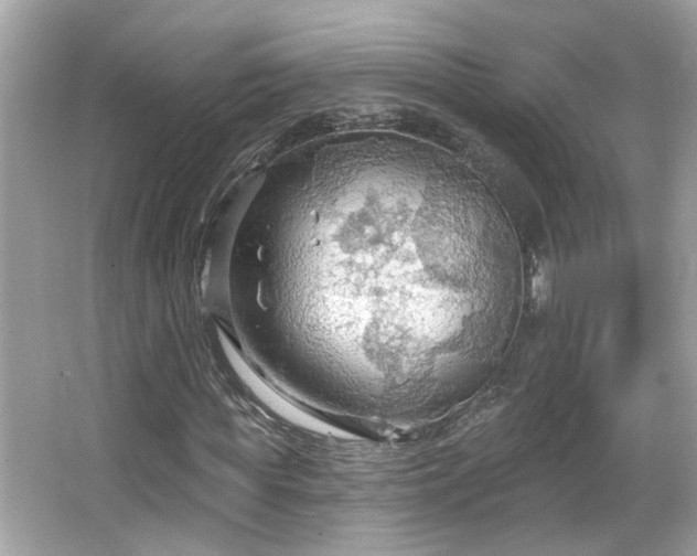 X0000066090819200603101203