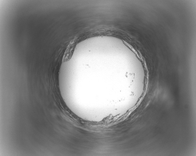 X0000066090820200603101203