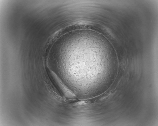 X0000066090821200603101203