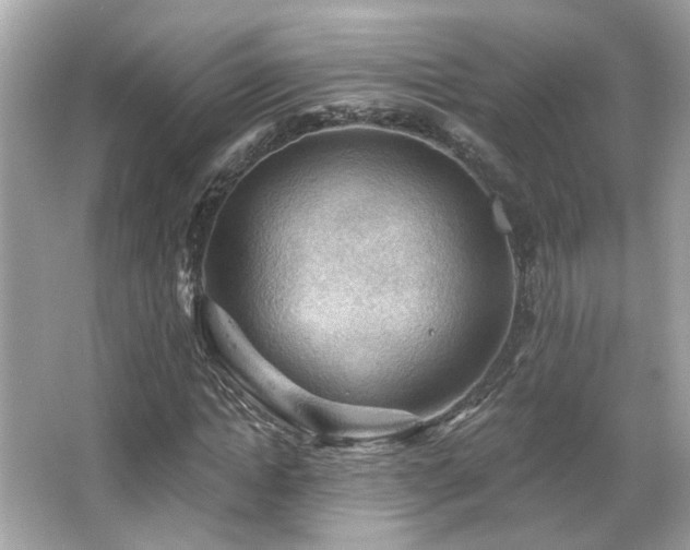 X0000066090822200603101203