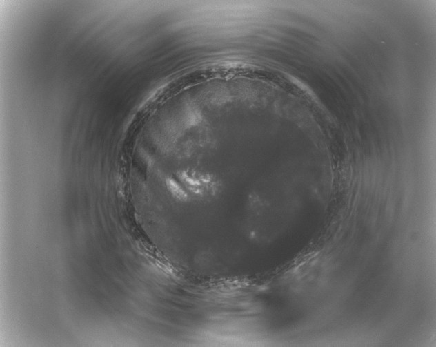 X0000066090823200603101204