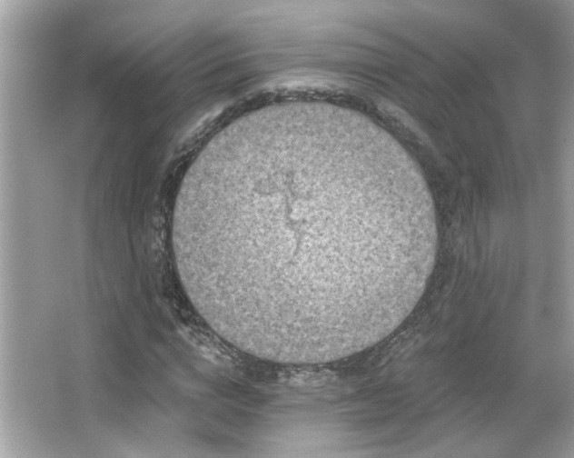 X0000066090824200603101204