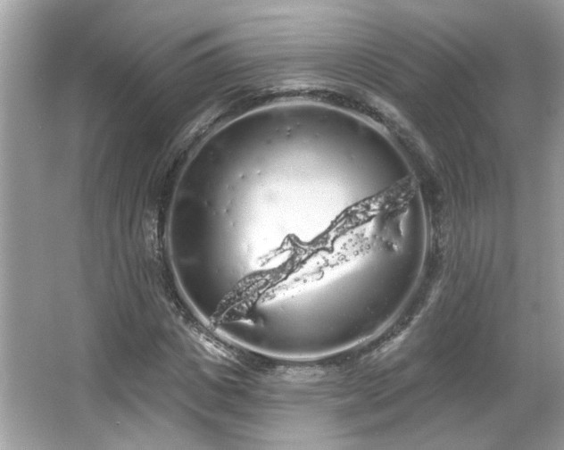 X0000066090825200603101204