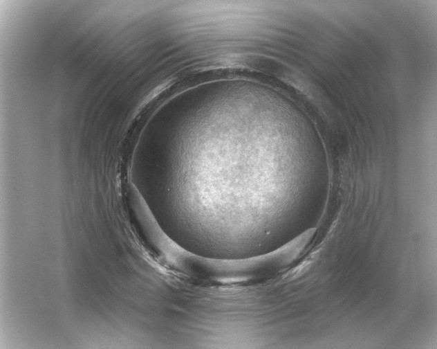 X0000066090826200603101204