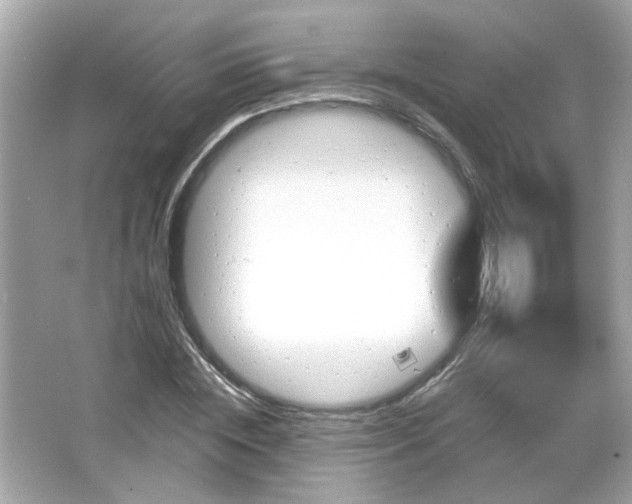 X0000066090828200603101204