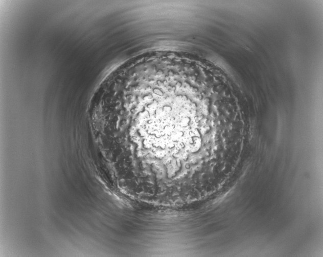 X0000066090829200603101204