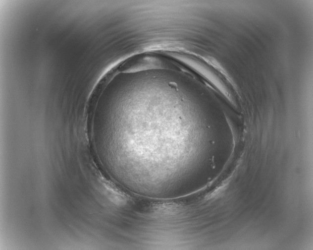 X0000066090830200603101204