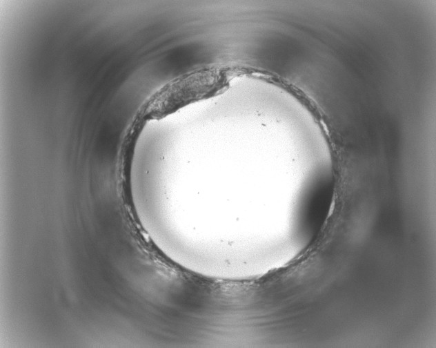 X0000066090832200603101204