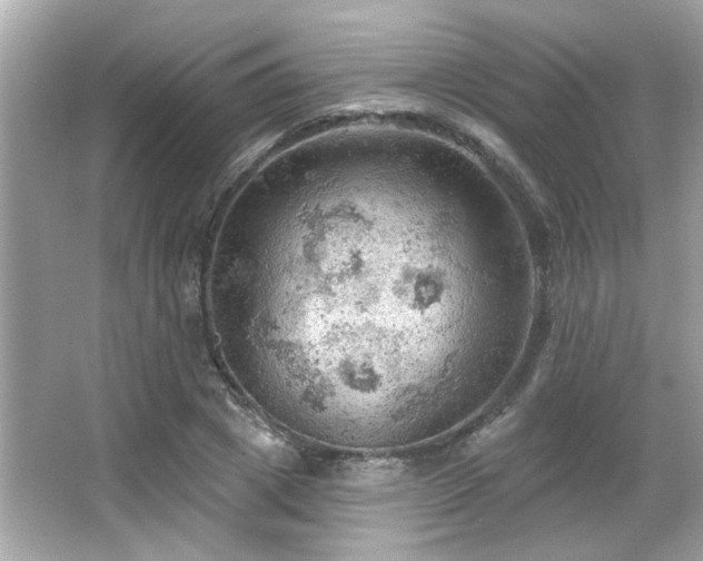 X0000066090833200603101204